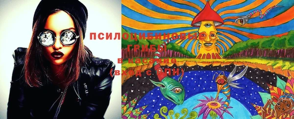 ГАЛЛЮЦИНОГЕННЫЕ ГРИБЫ Балабаново